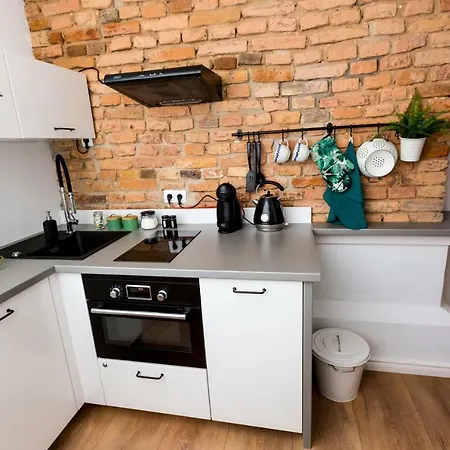 Loft Paprotka Premium Apartment, Close To Mtp Expo, F.Vat Poznan Exterior photo